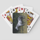 Recherche de pur sang jeux de cartes Cheval