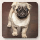 Recherche de carlins mignons dessous de verres Chien