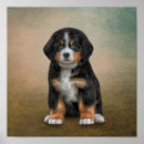 Recherche de dog breed posters Cute