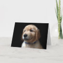 Recherche de labrador retriever vœux cartes Canine