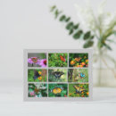 Recherche de macro cartes postales Coloré