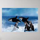 Recherche de grande baleine posters Pour elle