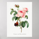 Zoek naar vlinder roze posters Illustratie