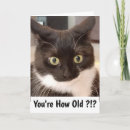 Recherche de salutation de minou Anniversaire