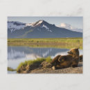 Recherche de parc national katmai cartes postales Nature