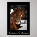 Recherche de cheval dressage posters Équitation