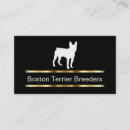 Recherche de boston ma cartes visite Éleveur de chiens