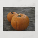 Recherche de moisson cartes postales Citrouille