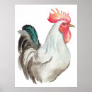 Recherche de dessin de coq posters Aquarelle