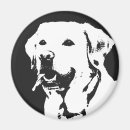 Recherche de extracteur magnets Labrador