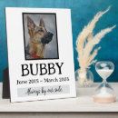Recherche de animaux portraits Perte d'animal de compagnie