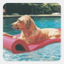 Recherche de allongé autocollants Dog