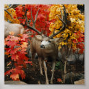Recherche de chasse de cerfs communs posters Whitetail
