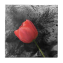 Zoek naar tulpen tegels Liefde