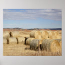 Zoek naar hooi balen posters Landbouw