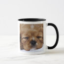 Zoek naar cavalier king charles spaniel mokken Natuur