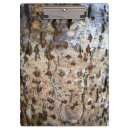 Recherche de bois blanc porte blocs Nature