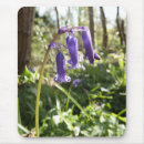 Recherche de jacinthe tapis souris Jacinthes des bois