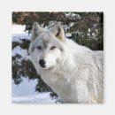 Recherche de blanc de neige refrigérateur magnets Sauvage