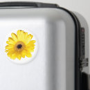Recherche de fond floral magnets Jaune