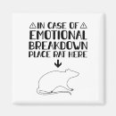 Recherche de rattie magnets Rat domestique
