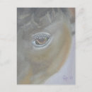 Recherche de cheval dressage posters Soirée