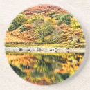 Recherche de réflexions dessous de verres Arbres