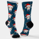 Recherche de animaux chaussettes De chien