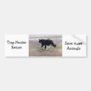 Recherche de neutre voiture autocollants Chats