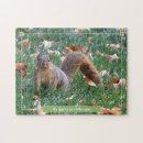 Recherche de écureuil puzzles Drôle
