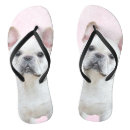 Recherche de bulldog chaussures Frenchie