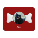 Recherche de animaux d magnets Animal de compagnie