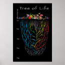 Zoek naar evolutie boom posters Boom van het leven
