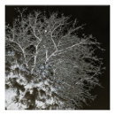 Recherche de goth posters Nature