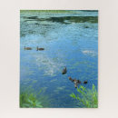 Recherche de canard puzzles Oiseaux