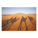 Recherche de tunisien posters Walter bibikow
