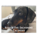 Zoek naar teckel kantoorbenodigdheden Dachshund