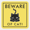 Recherche de chat jaune Humour