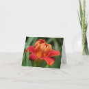 Zoek naar eeuwigdurend kaarten Flora