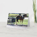 Zoek naar paard kar kaarten Amish