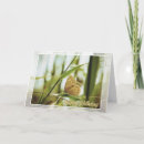 Recherche de coeur papillon vœux cartes Brun