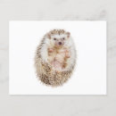 Recherche de hérisson cartes postales Animaux