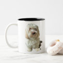 Recherche de havre tasses Chien
