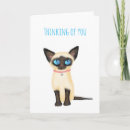 Recherche de chat siamois vœux cartes Mignon