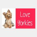 Recherche de yorkies autocollants Chiot