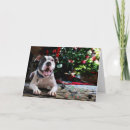 Zoek naar puppy van doggies Kerstmis
