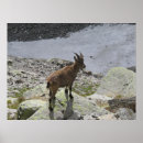 Recherche de chamonix art Europe