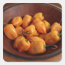 Recherche de habanero Légume