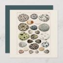 Zoek naar vogels vintage kaarten Prullenbak