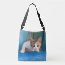 Recherche de chats drôles sacs Mignon